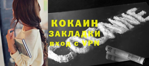 дживик Горняк