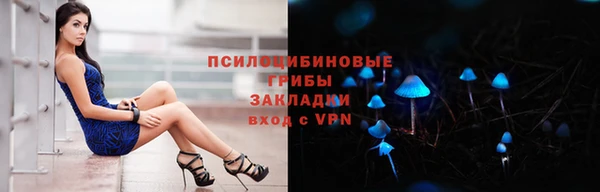 дживик Горняк
