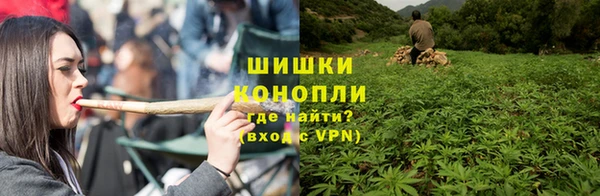 дживик Горняк
