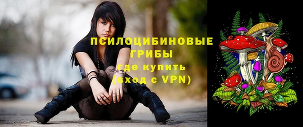дживик Горняк