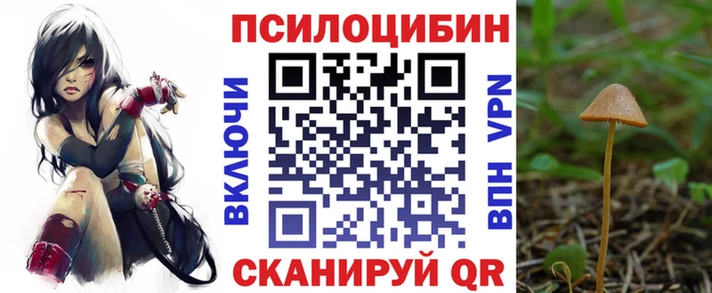 Псилоцибиновые грибы MAGIC MUSHROOMS  блэк спрут ONION  Вихоревка 